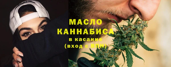 ECSTASY Бородино