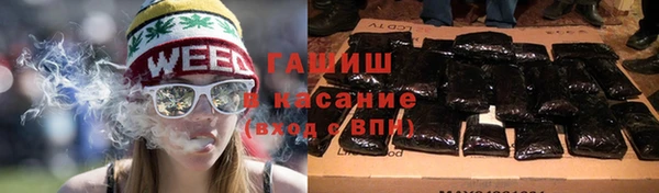 ECSTASY Бородино