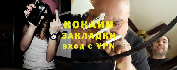 ECSTASY Бородино