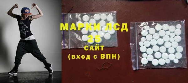 ECSTASY Бородино