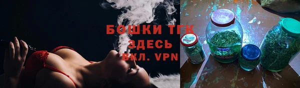 ECSTASY Бородино