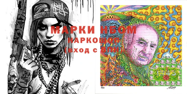 ECSTASY Бородино