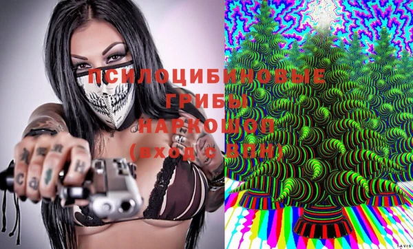 ECSTASY Бородино