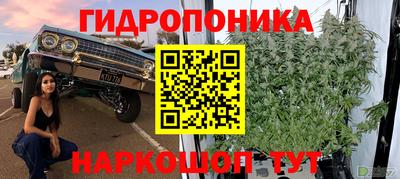 крисы Гусев
