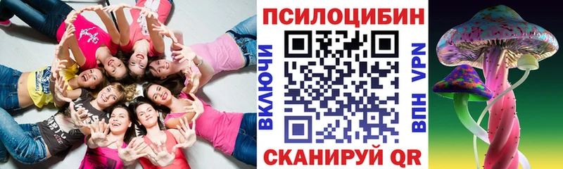 Псилоцибиновые грибы GOLDEN TEACHER  Свободный 