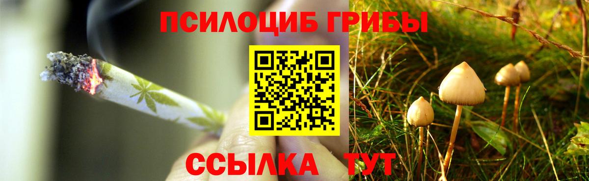 наркотики  Галлюциногенные грибы ЛСД  Свободный  Вход с VPN  Псилоцибиновые грибы Psilocybe 